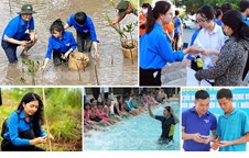 Hơn 297 nghìn lượt ĐVTN tham gia các hoạt động tình nguyện hè