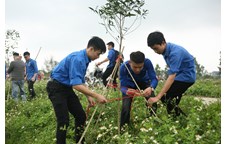 Đoàn Viện Kỹ thuật và Công nghệ tổ chức chương trình “Tết trồng cây” hưởng ứng tháng Thanh niên 2018