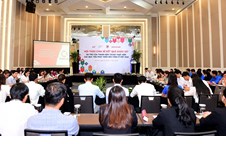 Vai trò của thanh niên trong thực hiện các mục tiêu phát triển bền vững ở Việt Nam